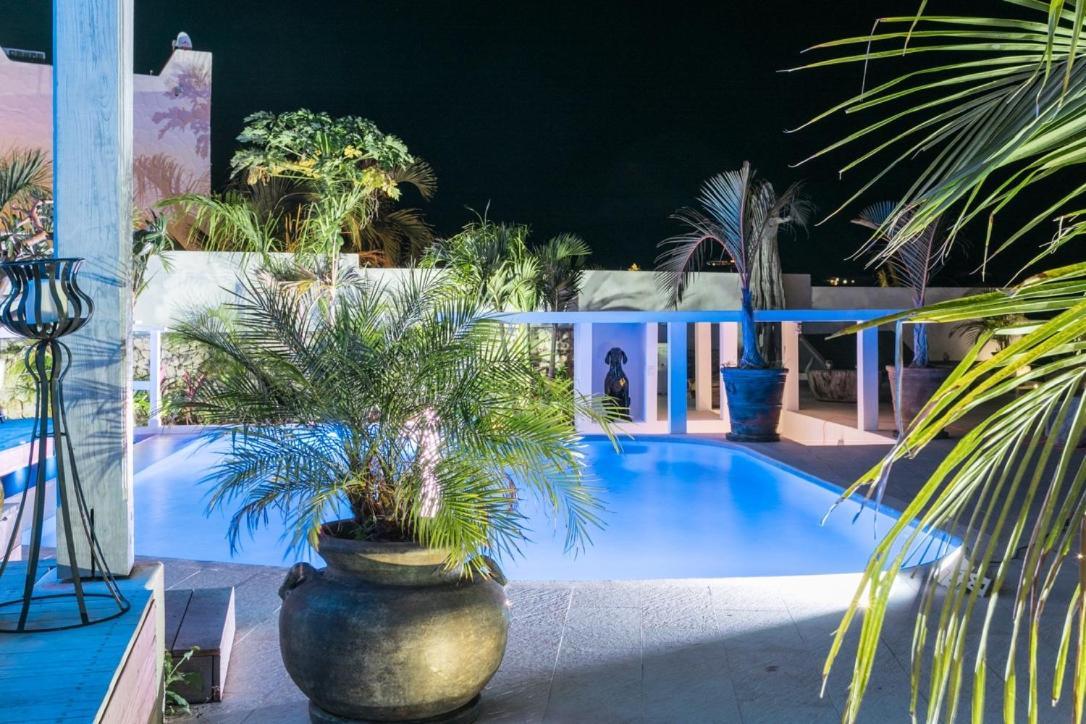 Villa Blue Lagoon Suite Apartment Lowlands Exteriér fotografie